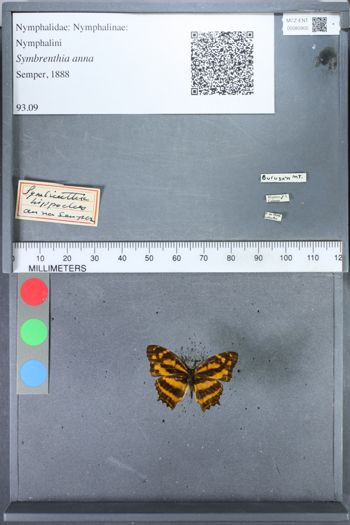 Media type: image;   Entomology 80905